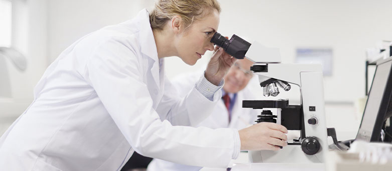 Pathology doctor at work